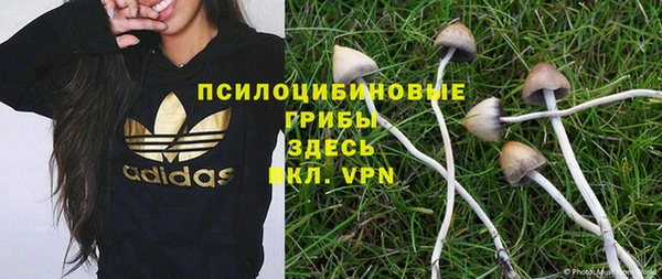 амфетамин Алексеевка