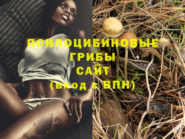 MDMA Premium VHQ Алзамай
