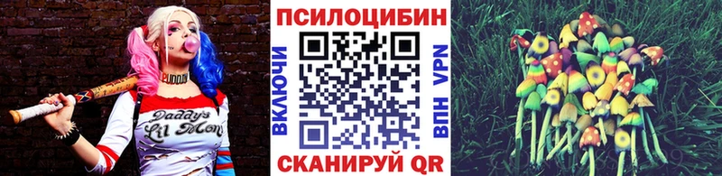 Галлюциногенные грибы Cubensis  mega ссылки  Малаховка 