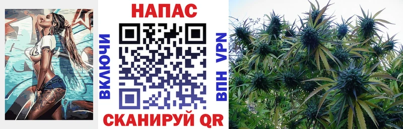 где купить   omg рабочий сайт  Конопля тримм  Малаховка 